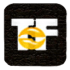 Thing Fair